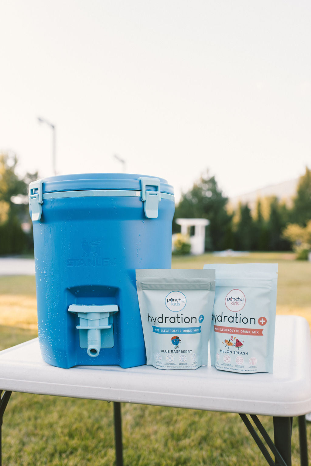 Hydration+ Stick Packs